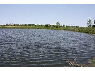 Property photo 32 - LAND AUCTION - 389.5+/- ACRES IN 11 TRACTS IN SULLIVAN COUNTY, INDIANA